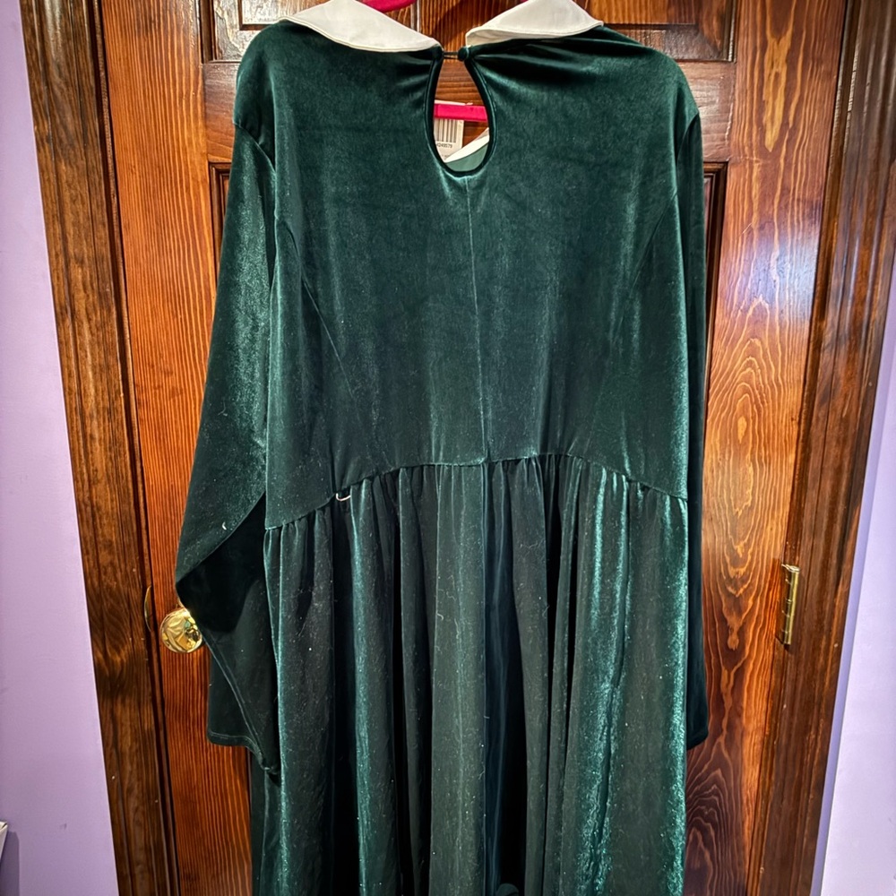 Disney holiday festive Green Velvet women’s Dress with Embroidered Collar - Picture 5 of 6